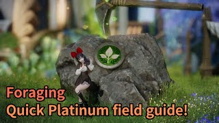 Lost Ark Foraging Platinum field guide [upl. by Seuqcaj]