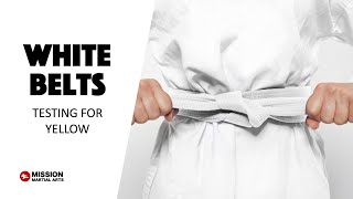 Rank Test  WHITE BELTS [upl. by Kisung362]