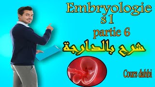 Embryologie s1  partie 6  Amphimixie  شرح بالدارجة [upl. by Ernestine]