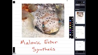 Malonic Ester Synthesis [upl. by Acisey]