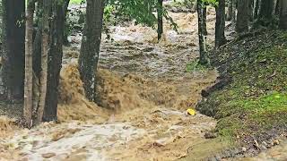 Hurricane Helene in Cane Creek North Carolina  from creek to river [upl. by Mareld]