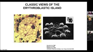 CIHD Virtual Seminar Mar 14th 2023  James J Bieker PhD [upl. by Asennav636]