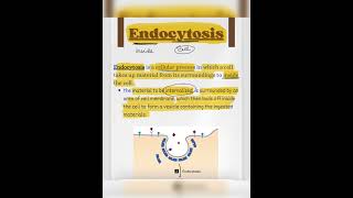 Let’s learn about Endocytosis CSIRNET NET2024 CSIR2024 Endocytosis LifeScience CellBiology [upl. by Schroeder]