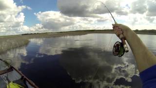 Buzzer fishing Lough Corrib  Red Letter Day Part II [upl. by Latrice13]