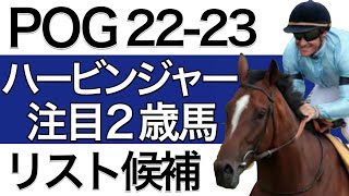 【POG2223】ハービンジャー産駒の注目２歳馬をリストアップ！【次シーズン向け／配合・血統傾向】 [upl. by Lanctot]