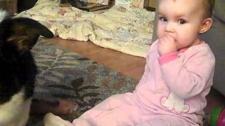 cutest dog and baby sharing cheerios 2mp4 [upl. by Mahan761]