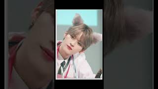 Danceracha kpop straykids skz stay danceracha leeminho hyunjin felix [upl. by Amliv]