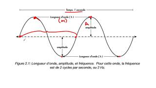 Rappel en physique [upl. by Tabbatha]