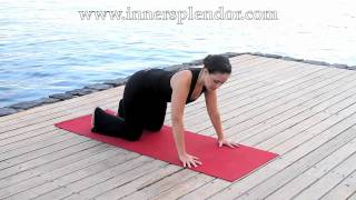 Yoga for Beginners with Kanta Barrios  wwwinnersplendorcom Yoga Class [upl. by Trina]