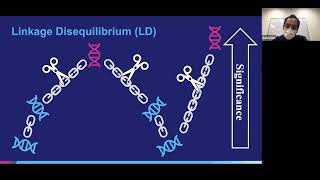 Polygenic risk scores PRSice amp lassosum with Shing Wan Choi [upl. by Mareah]