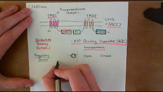 Cystic Fibrosis and Cystic Fibrosis Medications Part 1 [upl. by Dedric]