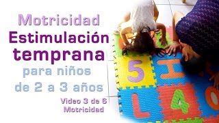 MOTRICIDADEstimulación Temprana niños de 2 a 3 años 36 [upl. by Quent628]