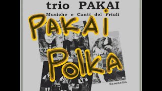 Trio Pakai  SOLO POLKA musica tradizionale carnica [upl. by Lam]