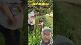 Rotavator is powerful small and also very powerful janthagarage agriculture vijayanagar [upl. by Socin611]