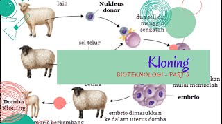 bioteknologi kloning transferinti biologisma BIOTEKNOLOGI MODERN  KLONING TRANSFER INTI [upl. by Endys]