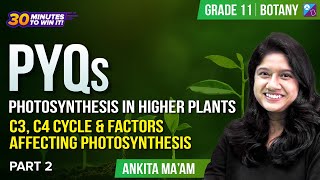 PYQs Photosynthesis in Higher Plants  Part2  C3 C4 Cycle and Factors affecting Photosynthesis [upl. by Lower111]