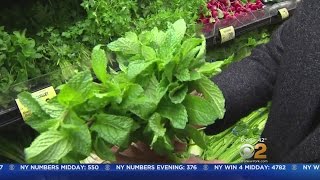 Tantillo Tips On Buying Fresh Mint [upl. by Herra]