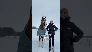 Bestfriend 🥰 equestrian horse horses pony pferde cheval hest trending funny [upl. by Cloris]