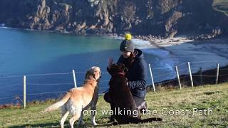 Dog Friendly Caravan Park accommodation near Lands end St Just and Penzance Cornwall [upl. by Seligmann7]