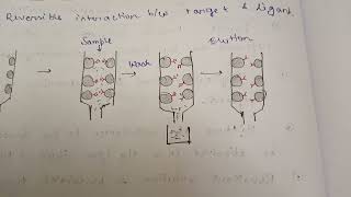 Affinity Chromatography with IMAC [upl. by Ambrosane435]