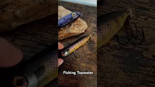 Fishing Topwater for Bass bassfishing fishing fishingvideo fish topwater baits tackle [upl. by Clements]