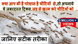 क्या आप भ है परेशान है चीटियों सेतो अपनाये ये जबरदस्त ट्रिक्स How to Get Rid of Ants Fast Naturally [upl. by Sauveur]