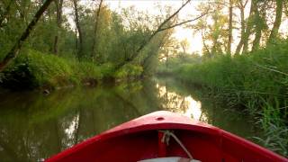 Ochtend in de Biesbosch [upl. by Alleyn]