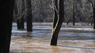 Flooding Along the Neshaminy Creek [upl. by Niamrahc906]