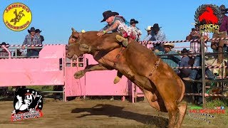 ¡ASÍ SE VIVEN LOS JARIPEOS EN EUA RANCHO EL MORRAL EN FRESNO CALIFORNIA [upl. by Adnaluy]