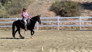 Class 83 Gaited Equitation October [upl. by Naima]