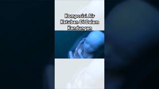 Komposisi Air Ketuban Di Dalam Kandungan [upl. by Eellehs930]