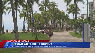 Hawaii wildfire recovery [upl. by Sancho353]