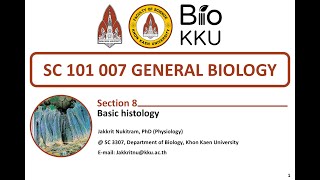 หัวข้อที่ 8 Basic histology ตอนที่ 2 [upl. by Joelly]