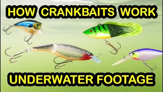 How To Fish Crankbaits and Types of Crankbaits  Underwater Fishing Lures amp Crankbait Tips [upl. by Ojyma]