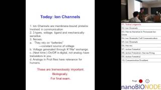 Biophysics 401 Lecture 22 Ion Channels [upl. by Samale597]