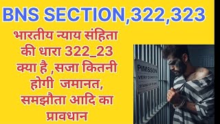 section 322 323 BNS in Hindi  Dhara 322 323 kya hai  what is section 322 323 BNS [upl. by Ellered431]