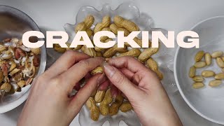 ASMR Cracking Peanuts No Talking [upl. by Donielle]