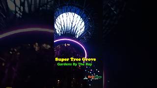 Super Tree Grove  Garden By The Bay [upl. by Tteragram]