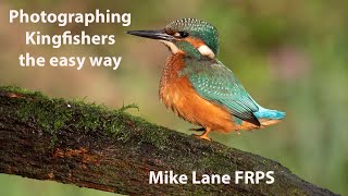 Photographing Kingfishers the easy way [upl. by Trepur]