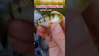 Best Lure Fishing video  Top water lure shorts short lurefishing [upl. by Hgielek]