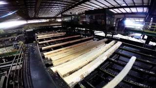 Collums Lumber Products LLC  Sawmill Tour [upl. by Ytirahc156]