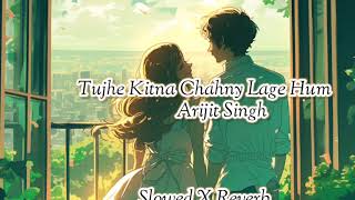 Tujhe Kitna Chahne Lage HumSlowed and ReverbArijit SinghKabir Singh movieLofi and Love Song [upl. by Alset830]