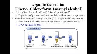 Phenol Chloroform method of DNA extraction  OAVS  CSIRNET [upl. by Mimajneb]