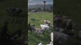 Herding Cows in Red Dead Redemption 2 Part 2 rdr2 cow reddeadredemption gaming [upl. by Luisa875]