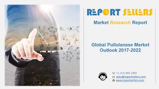 Global Pullulanase Market Research Report  Report Sellers [upl. by Joete]