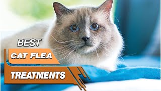 5 Best Cat Flea Treatments Review in 2023  Worth Buying Today [upl. by Niletak632]