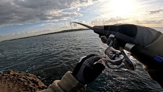 Big Fish Equals Screaming Reel  Sydney Rockfishing [upl. by Emoryt]