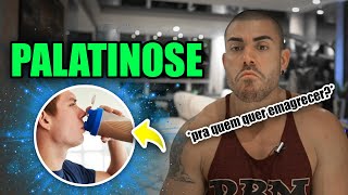 Tudo sobre a palatinose [upl. by Sosthenna]