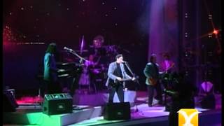 Los Temerarios Mi Vida Eres Tú Festival de Viña 1993 [upl. by Bellamy692]