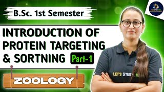 Introduction of Protein Targeting amp Sorting Part1  BSc 1st Semester Zoology  NEP 2020  Unit1 [upl. by Gisela]